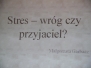 Stres – wróg czy przyjaciel?